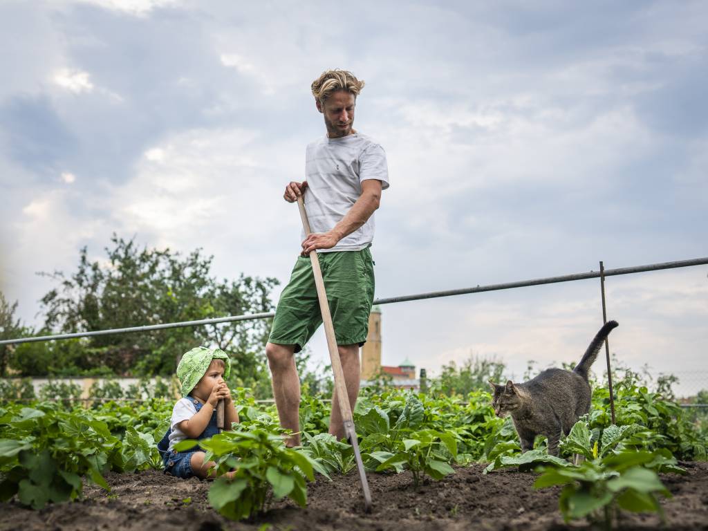 Bayern-Botschafter Sebastian Niedermaier mit Sohn und Katze auf seinem Feld