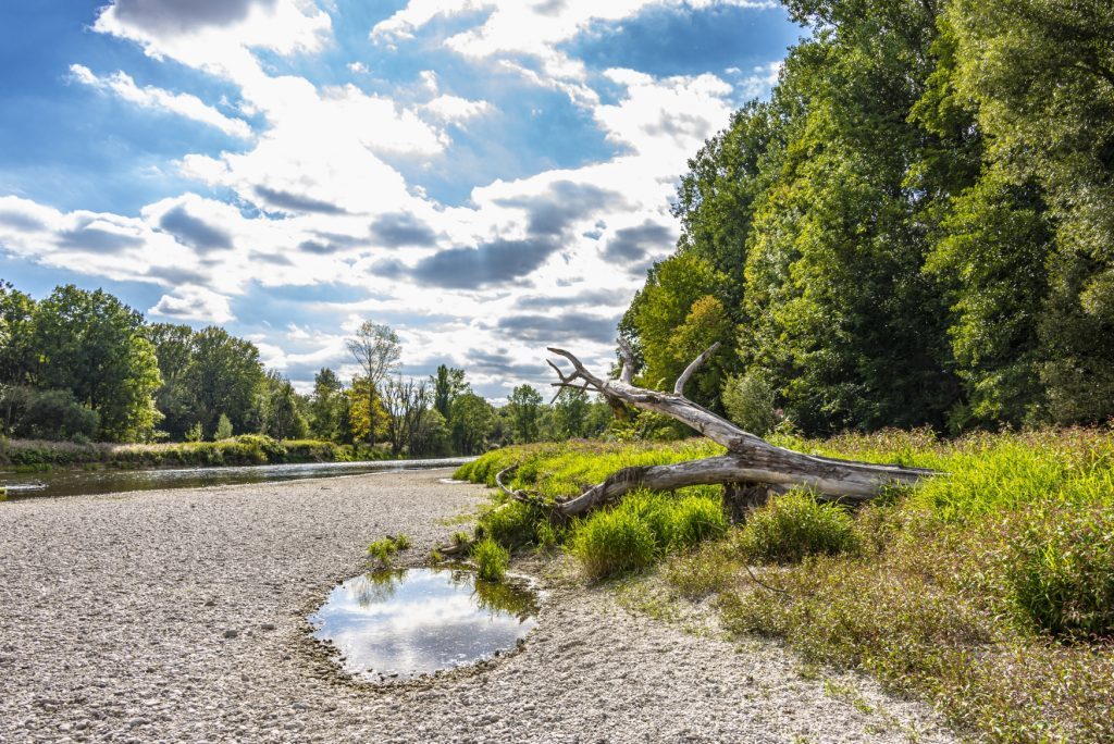 Das Isarufer im Landkreis Freising