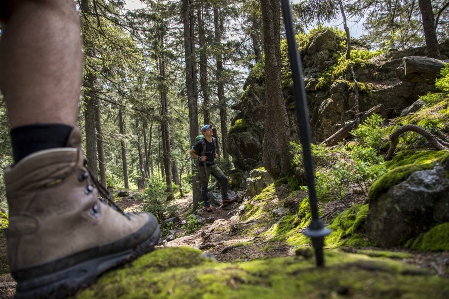 Fuß mit Wanderschuh im grünen Wald